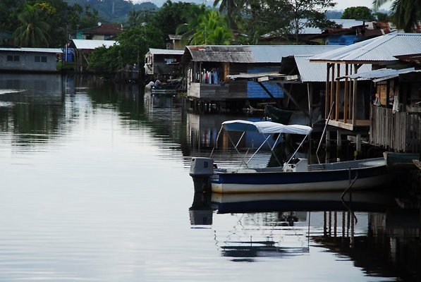 DSC 2431